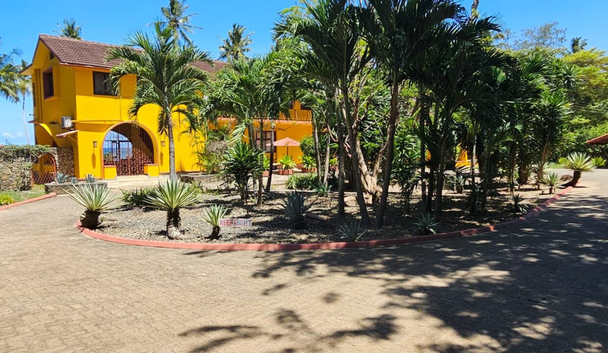 WhatsApp Image 2026-04-01 at 17.13.09 (2)