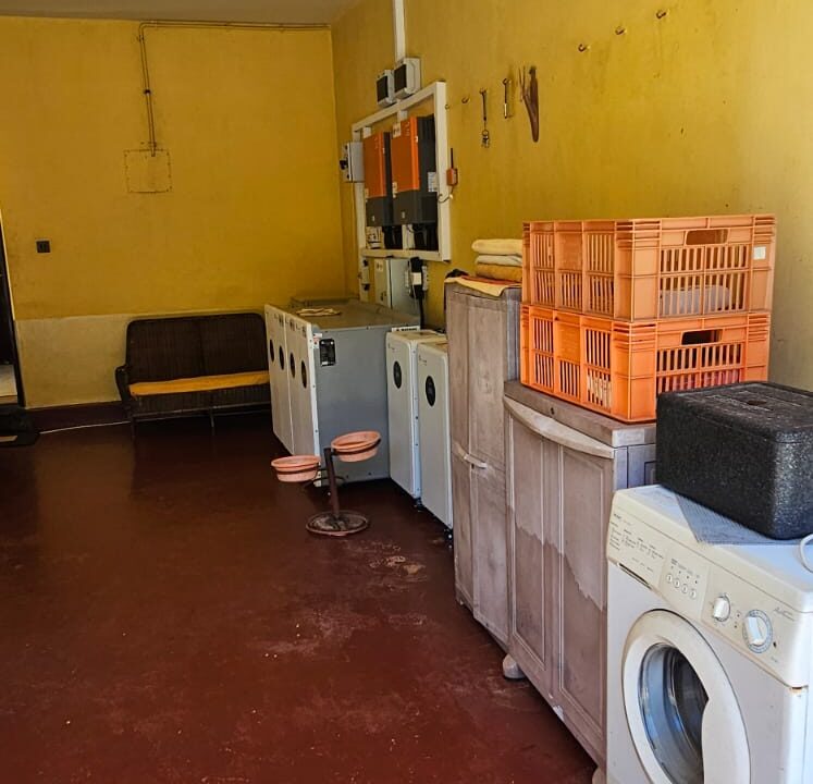 WhatsApp Image 2026-04-01 at 17.13.09