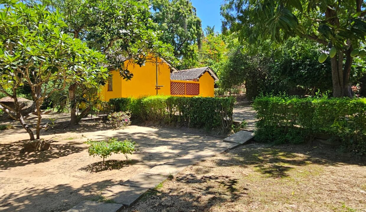 WhatsApp Image 2026-04-01 at 17.13.10 (1)