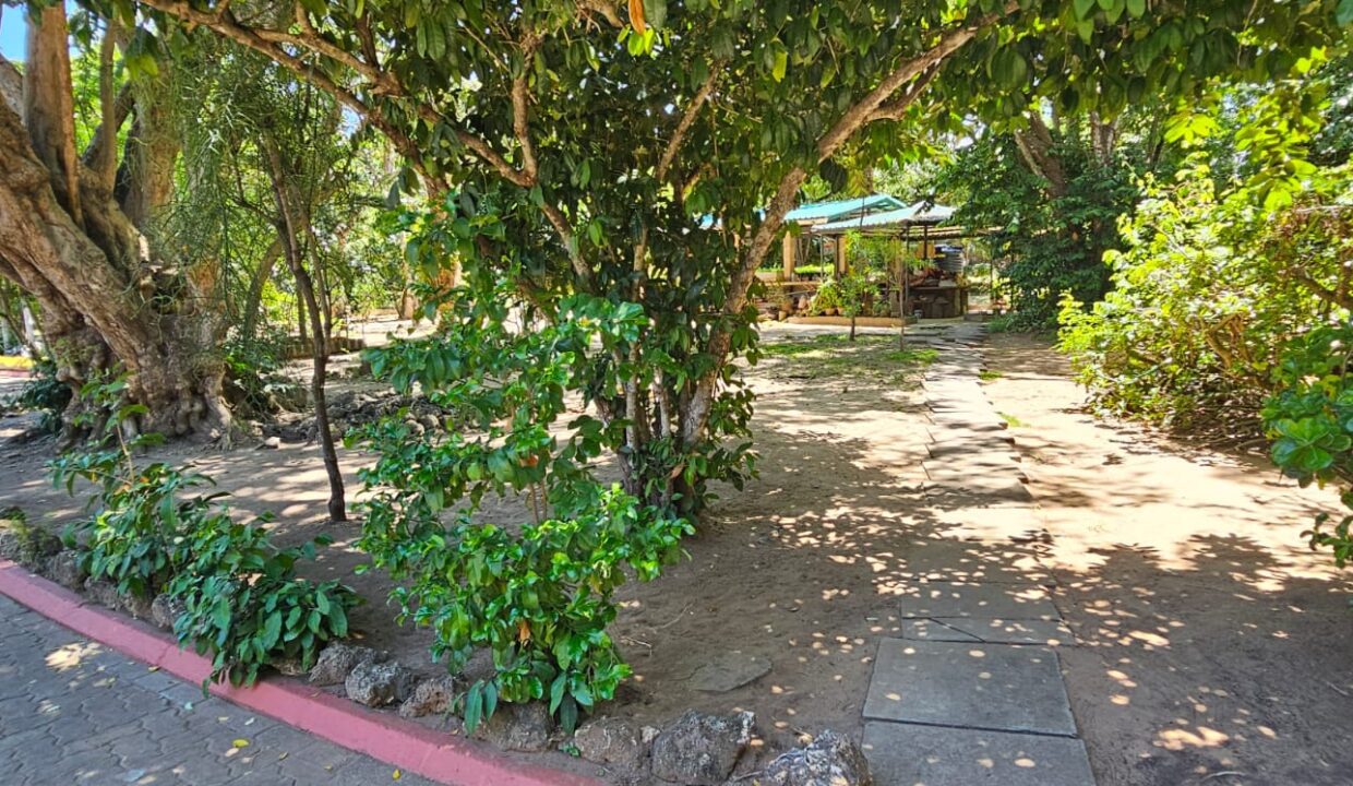 WhatsApp Image 2026-04-01 at 17.13.11