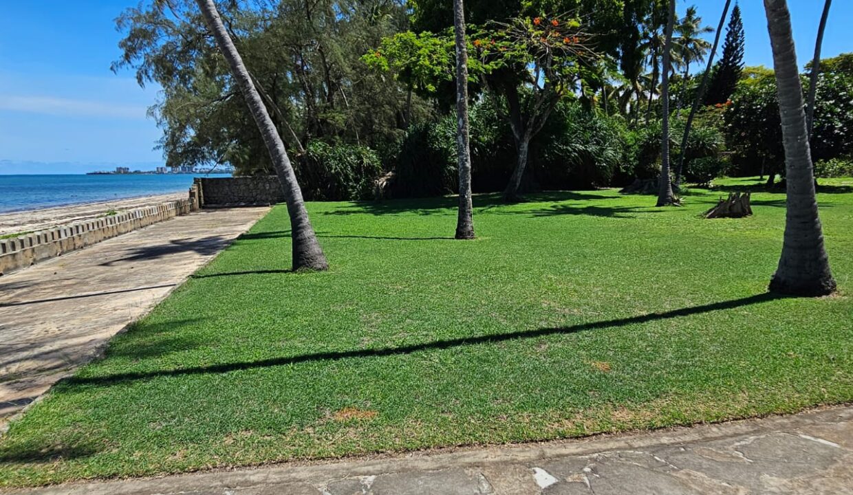 WhatsApp Image 2026-04-01 at 17.13.11 (3)