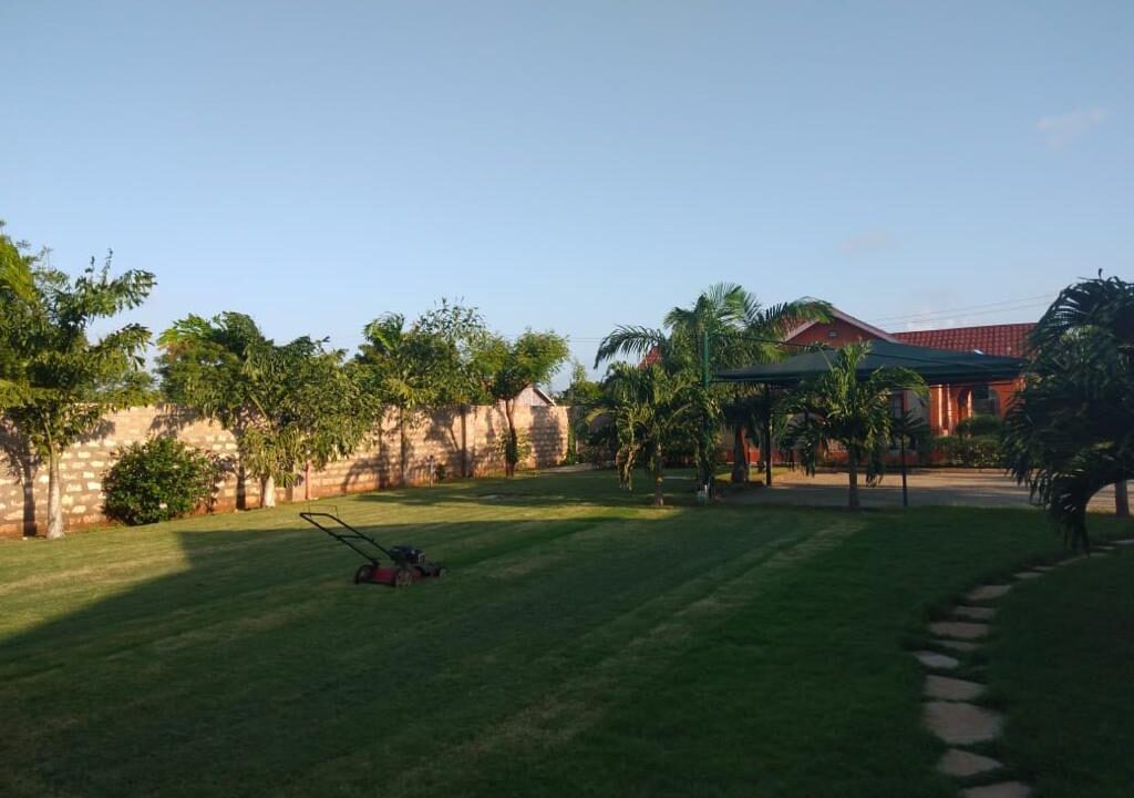 WhatsApp Image 2026-04-13 at 18.39.28 (1)