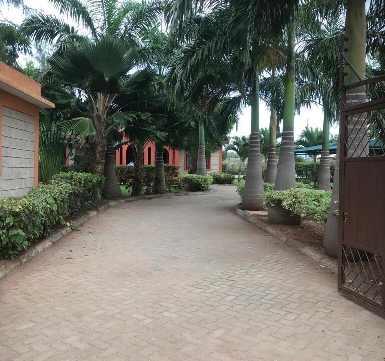 WhatsApp Image 2026-04-13 at 18.39.28