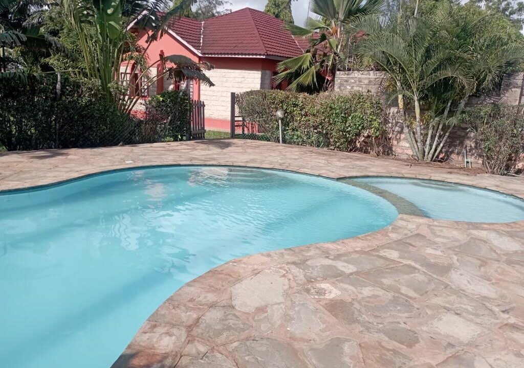 WhatsApp Image 2026-04-13 at 18.39.30