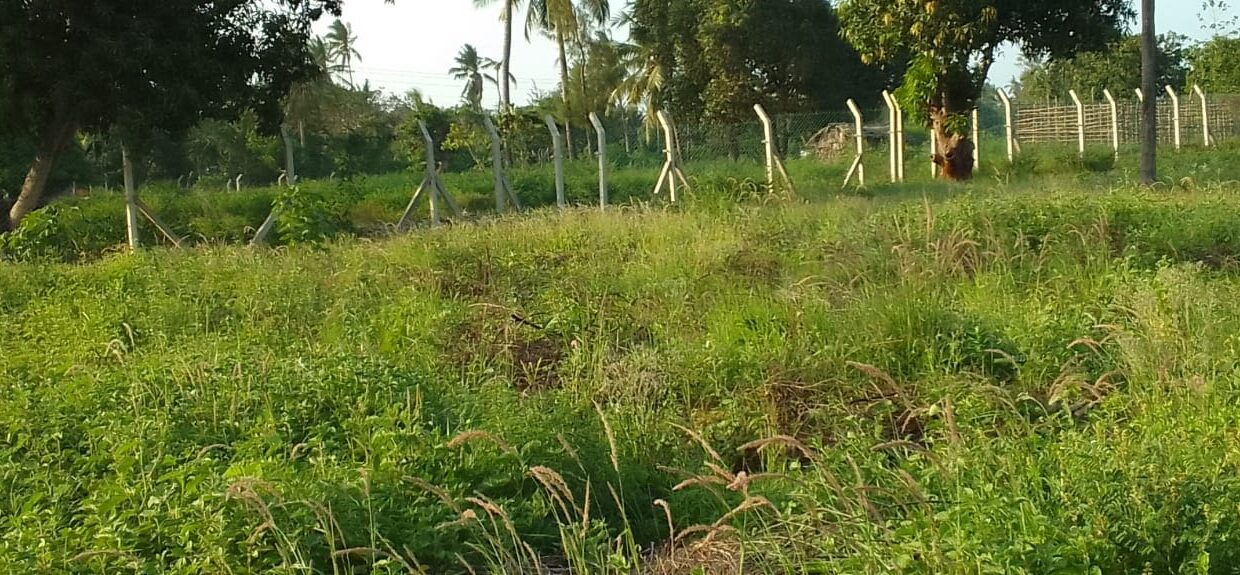 WhatsApp Image 2026-10-16 at 13.51.06 (3)