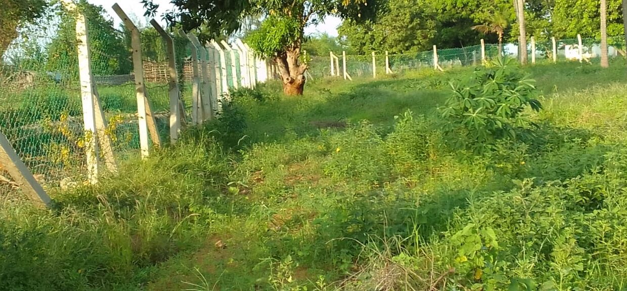WhatsApp Image 2026-10-16 at 13.51.07 (2)