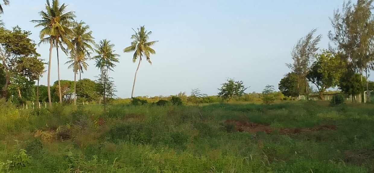 WhatsApp Image 2026-10-16 at 13.51.07 (3)